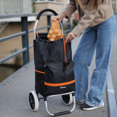 Shopping Convenience: Why Everyone Should Use a Shopping Trolley